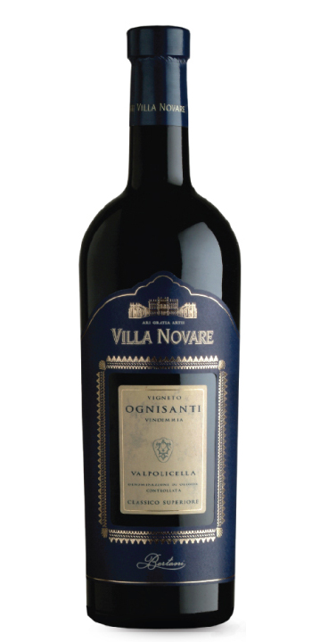 VILLA NOVARE OGNISANTI